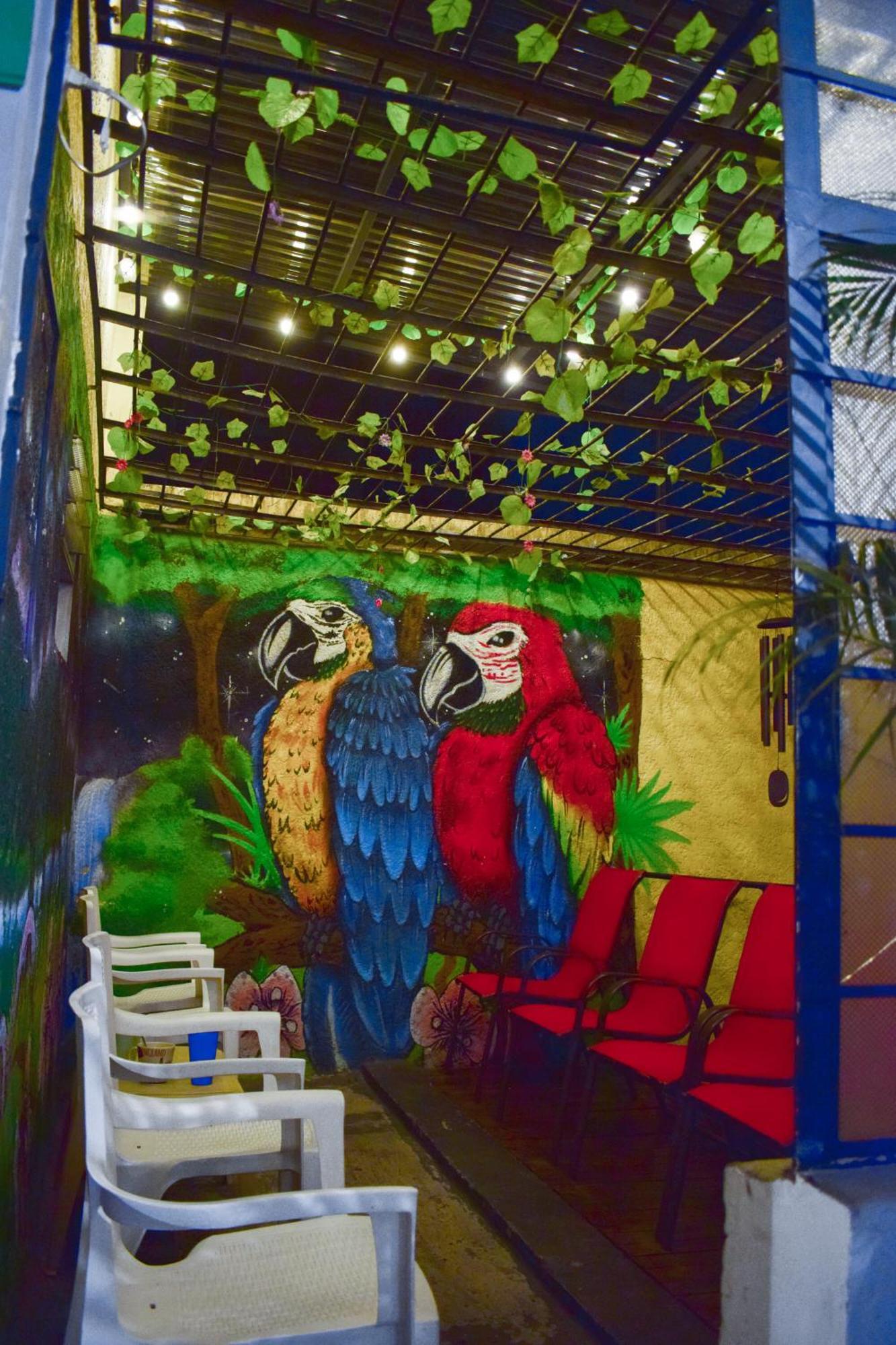 Key West Hostel メデジン エクステリア 写真
